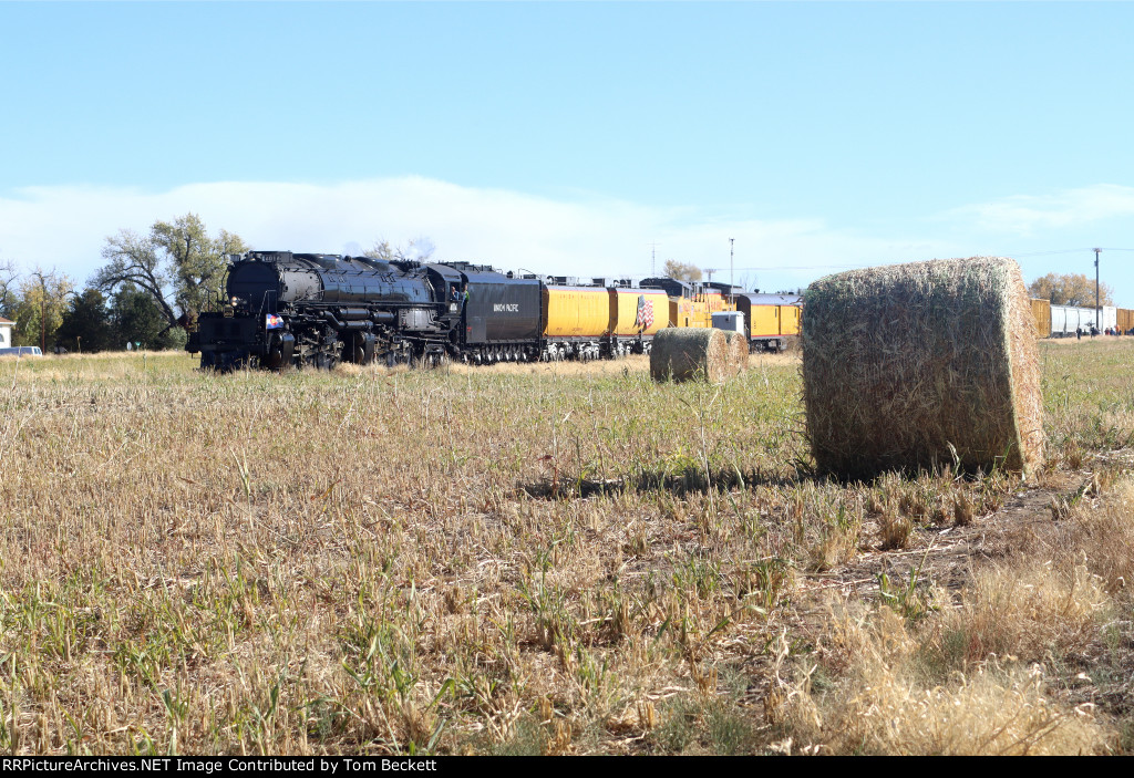 Hay in the field